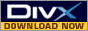 Download DIVX Codec